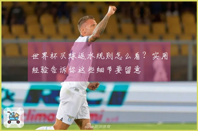 世界杯买球返水规则怎么看?实用经验告诉你这些细节要留意