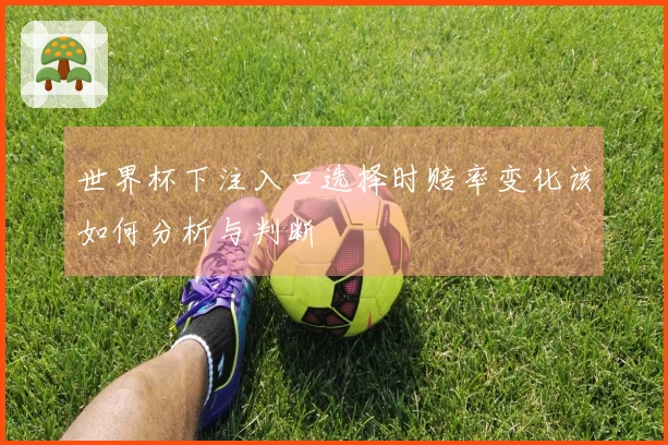 世界杯下注入口选择时赔率变化该如何分析与判断